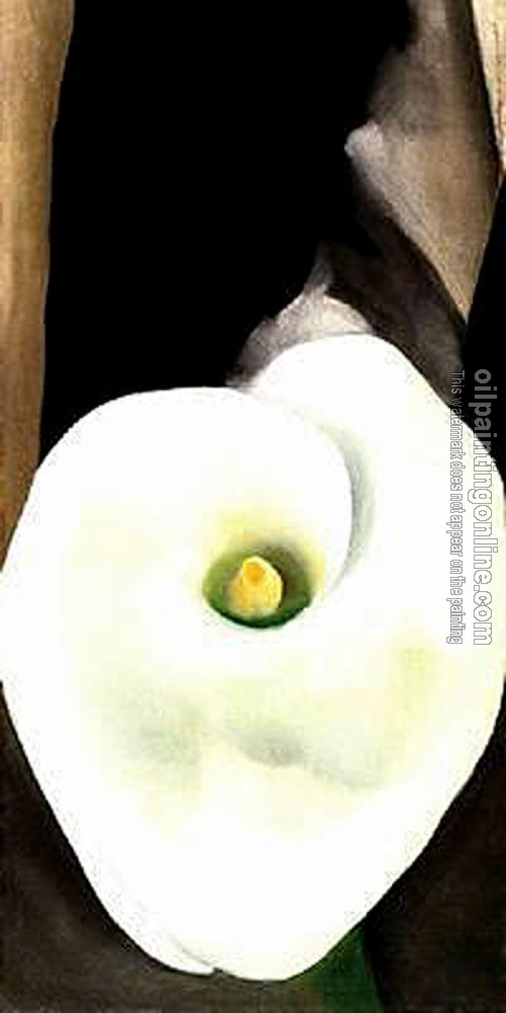 O Keeffe, Georgia - Canvas painting